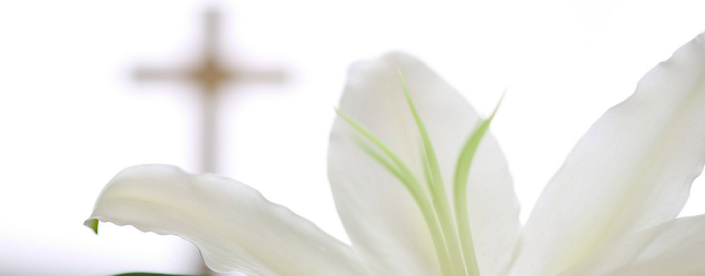 Simple Tip For An Even Healthier, Chemical-Free, & ‘Greener’ Home.