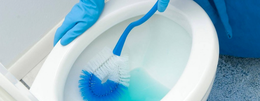 The Most Dangerous, Lung Damaging, Bathroom Cleaner And How To Replace It