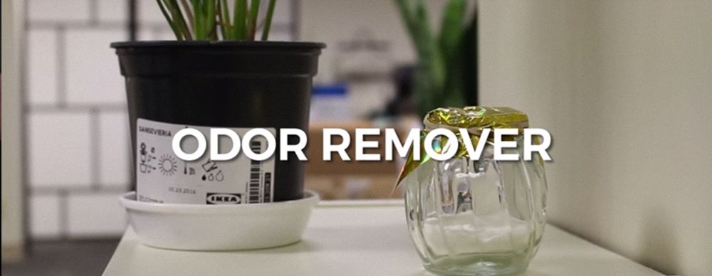 EASY DIY: Make Your Own Odor Remover